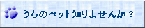うちのペット知りませんか?